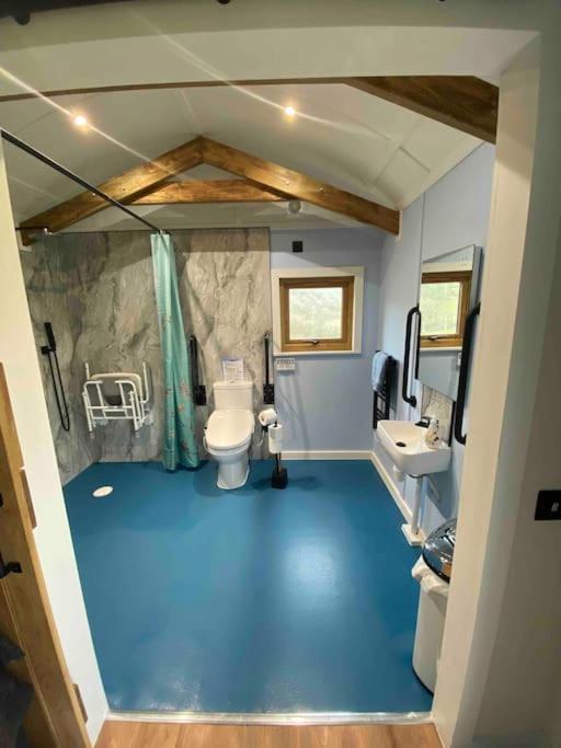 Hafan Y Mynydd - Accessible Double Shepherd Hut Apartment Machynlleth
