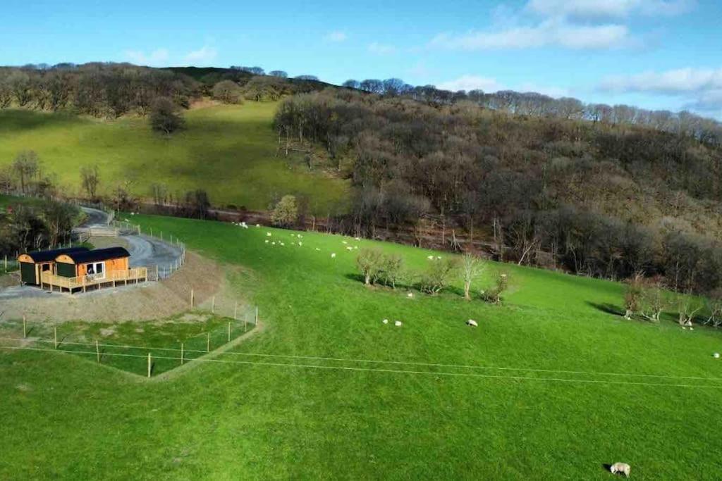 Apartment Hafan Y Mynydd - Accessible Double Shepherd Hut *