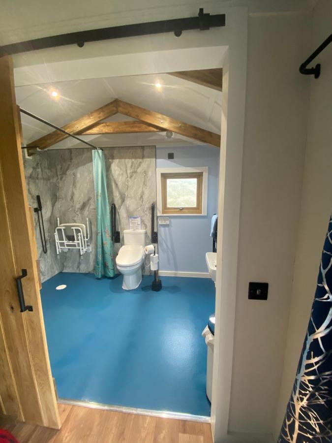 Apartment Hafan Y Mynydd - Accessible Double Shepherd Hut *