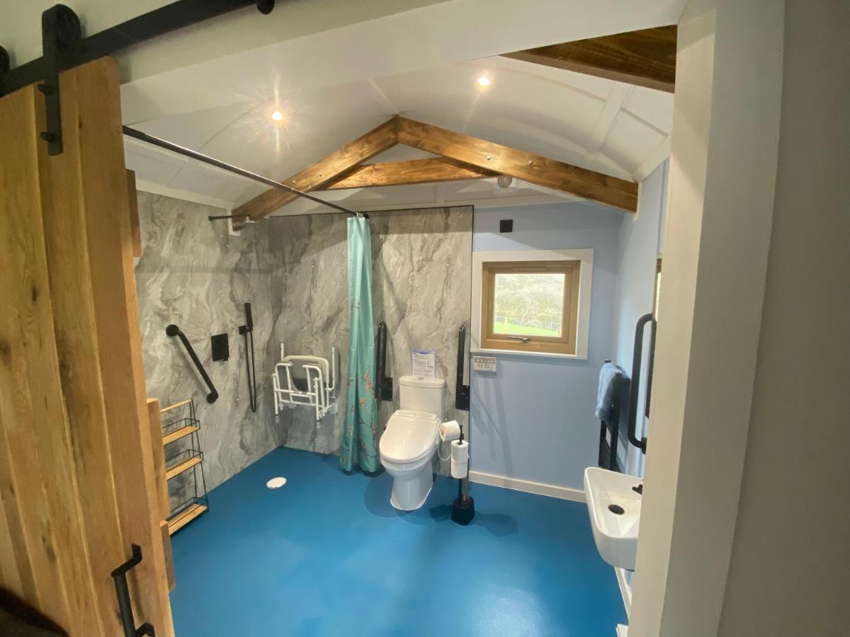 Apartment Hafan Y Mynydd - Accessible Double Shepherd Hut *